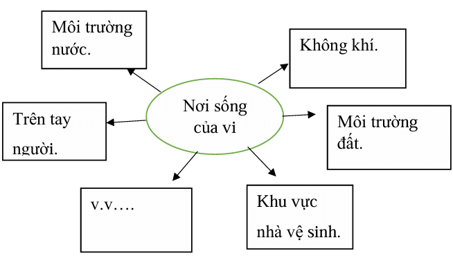 Vở bài tập Khoa học lớp 5 Chân trời sáng tạo Bài 18: Vi khuẩn quanh ta