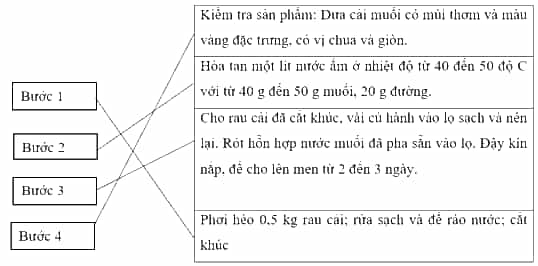 Vở bài tập Khoa học lớp 5 Chân trời sáng tạo Bài 19: Vi khuẩn có ích trong chế biến thực phẩm
