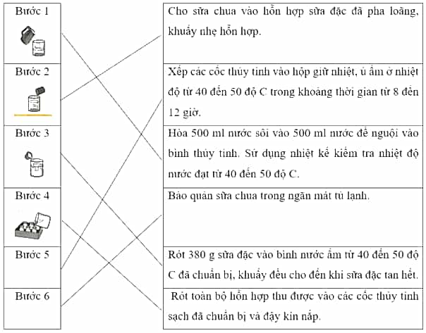 Vở bài tập Khoa học lớp 5 Chân trời sáng tạo Bài 19: Vi khuẩn có ích trong chế biến thực phẩm