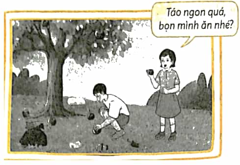 Vở bài tập Khoa học lớp 5 Chân trời sáng tạo Bài 20: Một số bệnh ở người do vi khuẩn gây ra