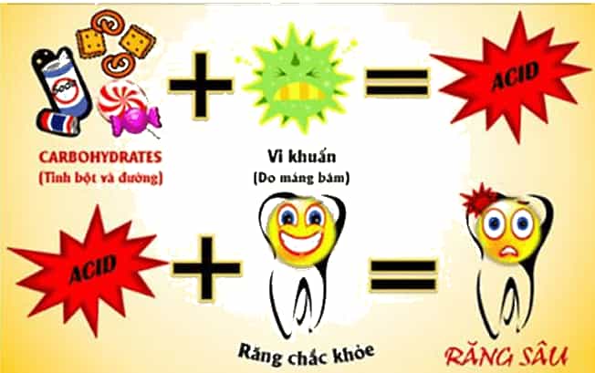 Vở bài tập Khoa học lớp 5 Chân trời sáng tạo Bài 21: Ôn tập chủ đề Vi khuẩn