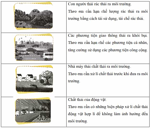 Vở bài tập Khoa học lớp 5 Chân trời sáng tạo 28: Chức năng của môi trường