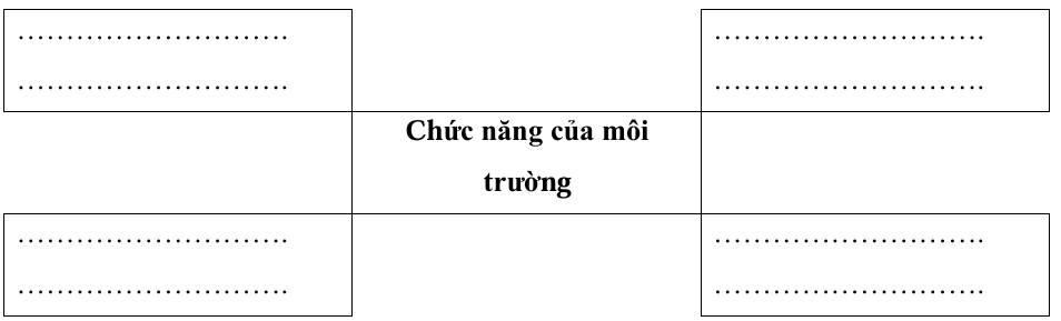 Vở bài tập Khoa học lớp 5 Chân trời sáng tạo Bài 28: Chức năng của môi trường