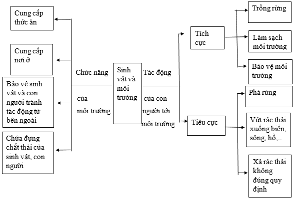 Vở bài tập Khoa học lớp 5 Chân trời sáng tạo Bài 30: Ôn tập chủ đề Sinh vật và môi trường