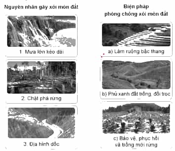 Vở bài tập Khoa học lớp 5 Cánh diều Bài 1: Đất và bảo vệ môi trường đất
