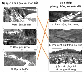 Vở bài tập Khoa học lớp 5 Cánh diều Bài 1: Đất và bảo vệ môi trường đất