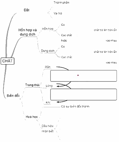 Vở bài tập Khoa học lớp 5 Cánh diều Ôn tập chủ đề Chất