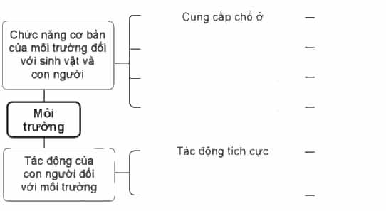 Vở bài tập Khoa học lớp 5 Cánh diều Ôn tập chủ đề Sinh vật và môi trường