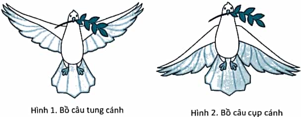 Vở bài tập Tin học lớp 5 Kết nối tri thức Bài 10: Cấu trúc tuần tự