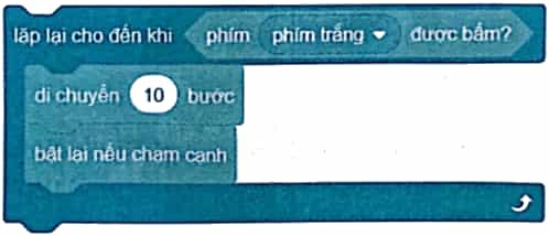 Vở bài tập Tin học lớp 5 Kết nối tri thức Bài 12: Thực hành sử dụng lệnh lặp