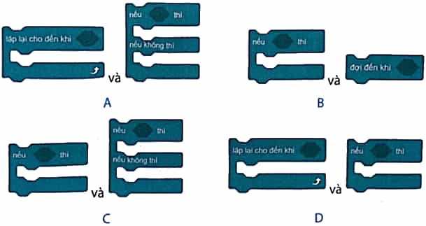 Vở bài tập Tin học lớp 5 Kết nối tri thức Bài 13: Cấu trúc rẽ nhánh