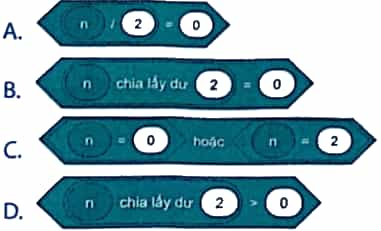 Vở bài tập Tin học lớp 5 Kết nối tri thức Bài 13: Cấu trúc rẽ nhánh