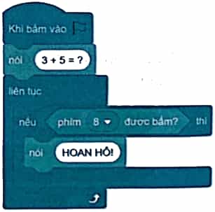 Vở bài tập Tin học lớp 5 Kết nối tri thức Bài 13: Cấu trúc rẽ nhánh