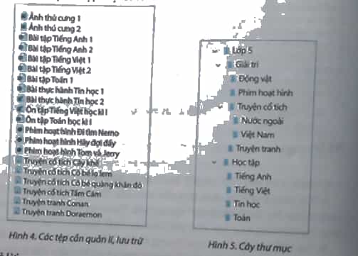 Vở bài tập Tin học lớp 5 Chân trời sáng tạo Bài 4: Tổ chức, lưu trữ và tìm tệp, thư mục trong máy tính