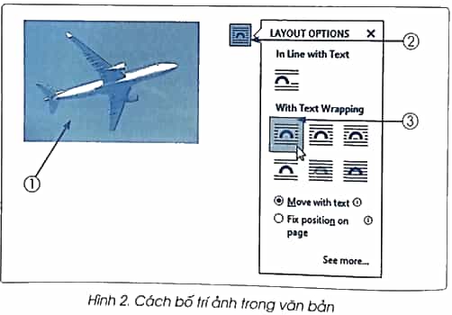 Vở bài tập Tin học lớp 5 Cánh diều Bài 3: Thực hành chèn ảnh vào văn bản