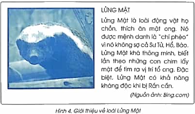 Vở bài tập Tin học lớp 5 Cánh diều Bài 3: Thực hành chèn ảnh vào văn bản