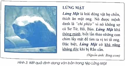 Vở bài tập Tin học lớp 5 Cánh diều Bài 4: Định dạng kí tự