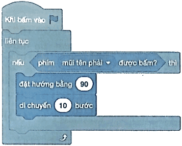 Vở bài tập Tin học lớp 5 Cánh diều Bài 12: Cấu trúc rẽ nhánh