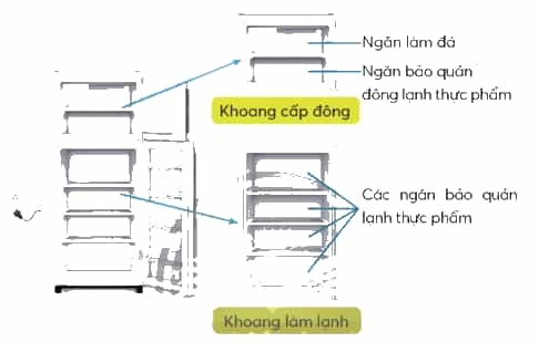 Công nghệ lớp 5 Chân trời sáng tạo Bài 6: Sử dụng tủ lạnh
