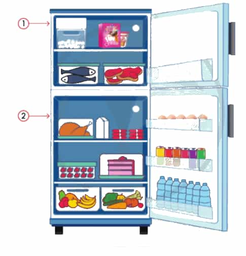 Công nghệ lớp 5 Cánh diều Bài 7: Sử dụng tủ lạnh