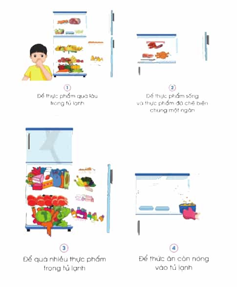 Công nghệ lớp 5 Cánh diều Bài 7: Sử dụng tủ lạnh
