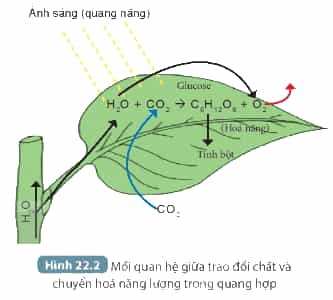 DiagramDescription automatically generated