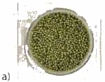 A picture containing edible seed, vegetableDescription automatically generated