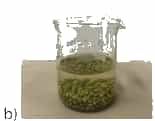 A picture containing vessel, jarDescription automatically generated