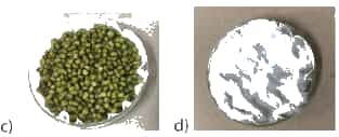 A picture containing vegetableDescription automatically generated