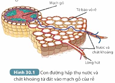 DiagramDescription automatically generated