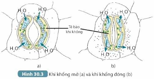 DiagramDescription automatically generated