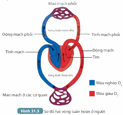 DiagramDescription automatically generated