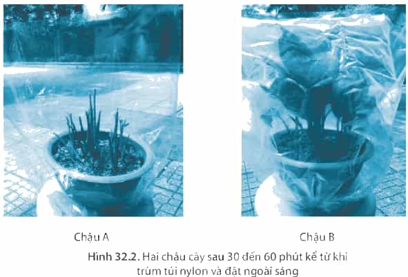 Graphical user interfaceDescription automatically generated