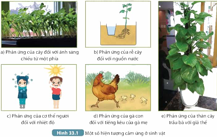 Graphical user interfaceDescription automatically generated