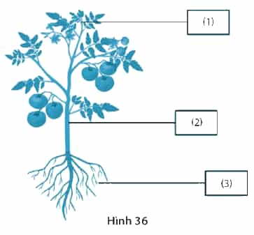 DiagramDescription automatically generated