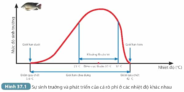 A picture containing chartDescription automatically generated