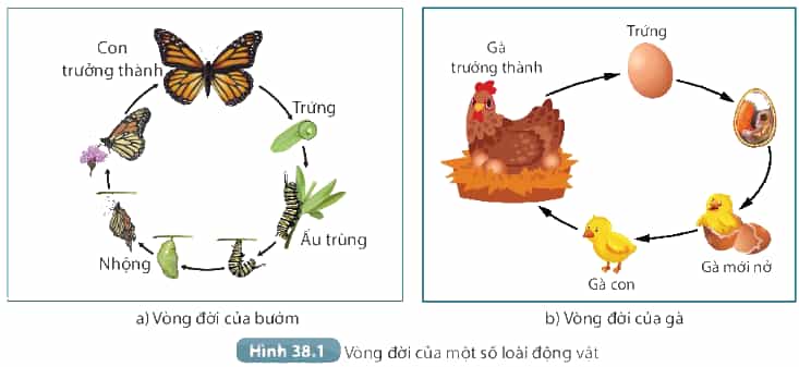 DiagramDescription automatically generated