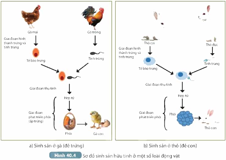 DiagramDescription automatically generated