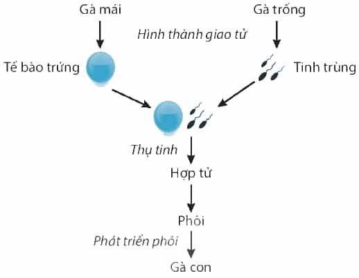 DiagramDescription automatically generated