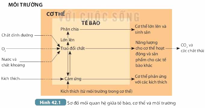 DiagramDescription automatically generated
