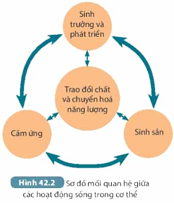 DiagramDescription automatically generated