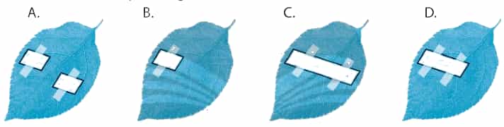 A picture containing chartDescription automatically generated