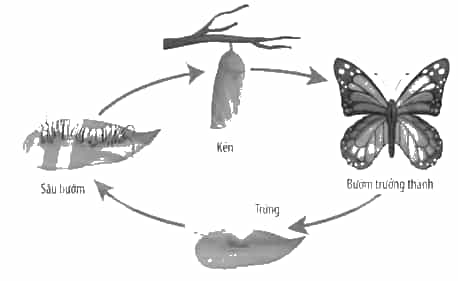 DiagramDescription automatically generated