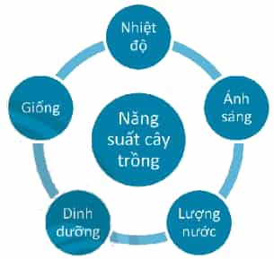 DiagramDescription automatically generated