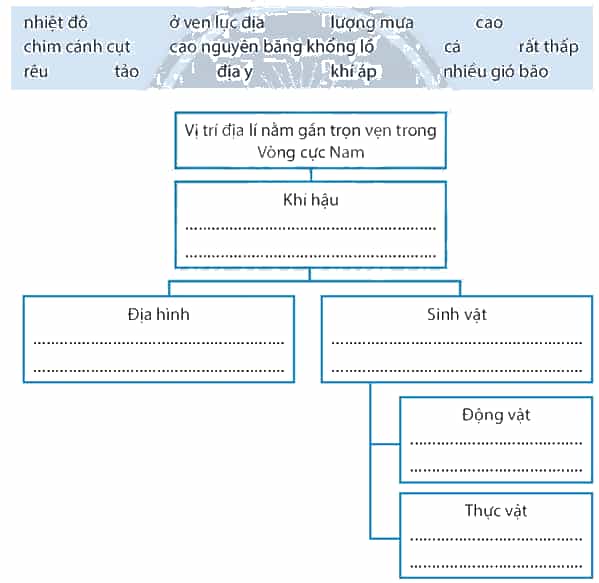 Hãy sử dụng các từ đã cho trong hộp thông tin bên dưới để hoàn thành sơ đồ về mối quan hệ