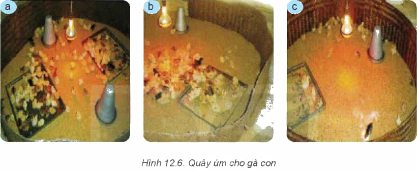 Graphical user interfaceDescription automatically generated with low confidence