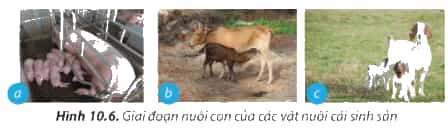 https://baivan.net/sites/default/files/styles/giua_bai/public/d/m/Y/10.6.png?itok=RWqZ0ydN
