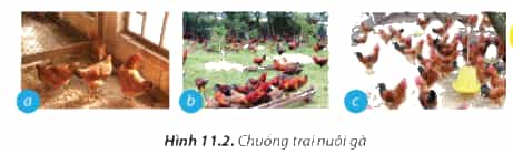https://baivan.net/sites/default/files/styles/giua_bai/public/d/m/Y/11.2.png?itok=7GVfQeKS