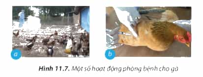 https://baivan.net/sites/default/files/styles/giua_bai/public/d/m/Y/11.7.png?itok=9ooe6TU0
