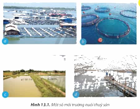 https://baivan.net/sites/default/files/styles/giua_bai/public/d/m/Y/13.1.png?itok=h138AaN9